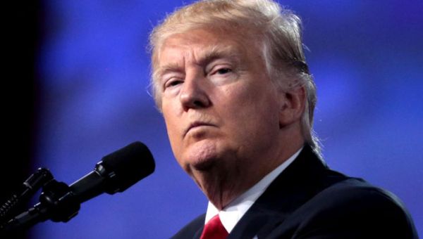 Mar-a-Lago logs inadvertently posted on court website -- show few seized docs were privileged: report