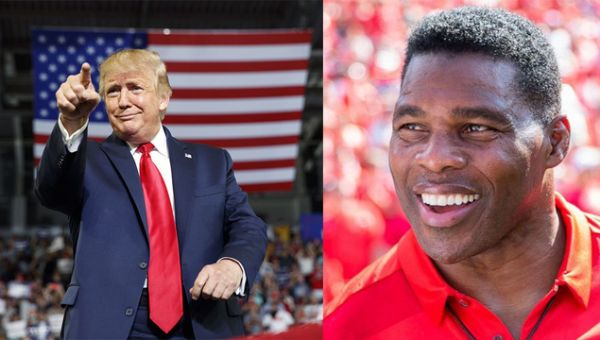 Herschel Walker: From football fame to US ambassador to the Bahamas