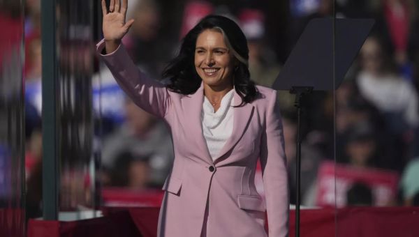 Tulsi Gabbard has lauded religious leader accused of running ‘abusive’ cult