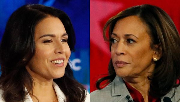 Tulsi Gabbard scorches 'woke' Dems, takes aim at Kamala Harris: 'Perfect example of everything wrong' with DC
