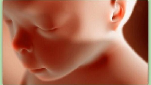 Georgia Judge Declares Heartbeat Law Unconstitutional – LifeNews.com
