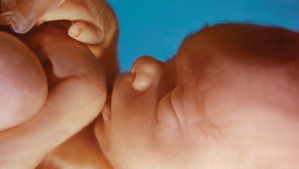 South Carolina Supreme Court Unanimously Upholds Heartbeat Law Saving Babies From Abortions - LifeNews.com