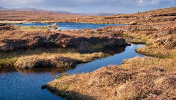 Scotland’s 2030 decarbonisation goal is ‘beyond credible’, climate advisors say