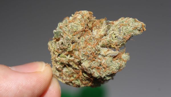 Hemp & marijuana biz disagree on Farm Bill (Newsletter: May 16, 2024) – Marijuana Moment