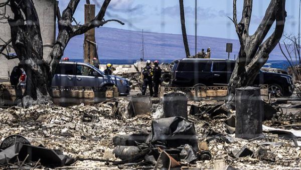 Maui emergency services chief resigns after criticism for not…