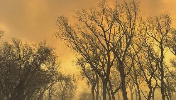 Wildfires prompt shutdown of nuclear weapons facility in Texas