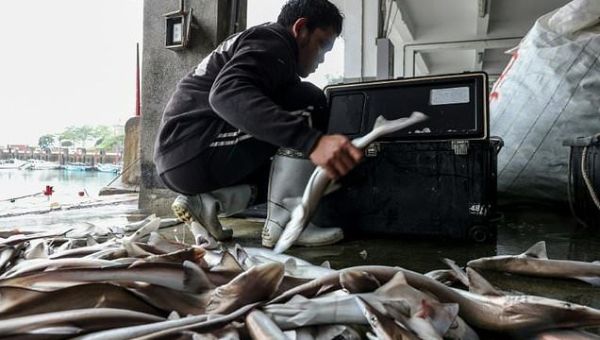 Taiwan’s Kinmen Island lives life ‘as usual’ despite Chinese drills