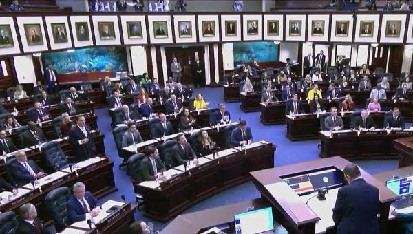 Florida Legislature rebukes Gov. DeSantis, overrides budget veto, introduces immigration bills