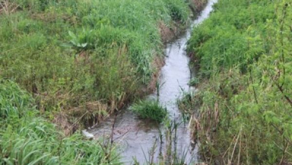 EPA releases amended WOTUS rule – Brownfield Ag News