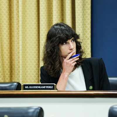 For One Democrat, the Price of Bucking Her Party Is a Flood of Bad Reviews