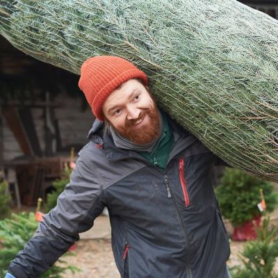 Christmas tree expert warns you must never store your tree in 2 places – Daily Record