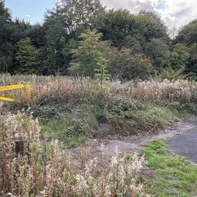 Woman raped in ‘brutal racist attack’ as police launch probe – Daily Record