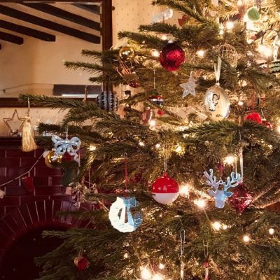 Christmas tree expert issues concerns over 1 mistake people make every year – The Mirror