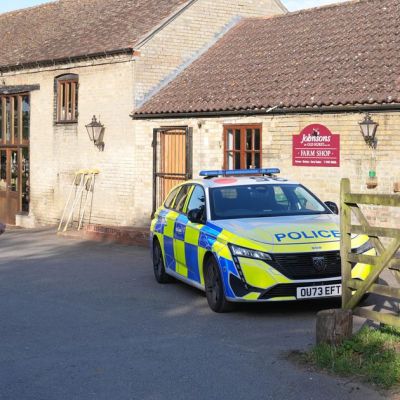 Boy aged three saved from crocodile enclosure after zoo owner’s wife ‘jumped in’