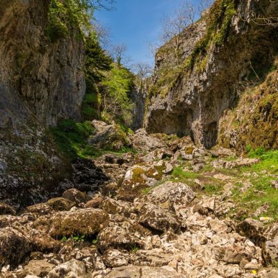 Yorkshire ravine ‘haunted by gigantic demonic dog’ makes for atmospheric walk