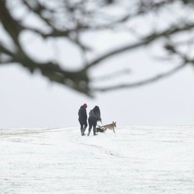 Snow and ice warning issued for Hull by Met Office as cold snap from Siberia hits UK – Hull Live