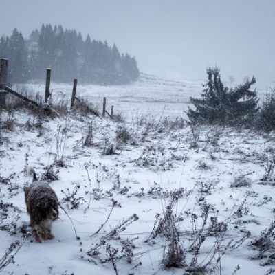 Met Office power cut warning as 25 areas set to be battered by 15-hour snowstorm – Yorkshire Live