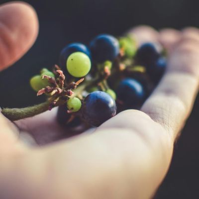 Tests find cancer-linked chemicals in 17 types of common fruit and veg | Bristol Live