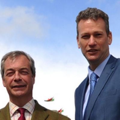 Who is Nathan Gill – shamed ex-Nigel Farage ally who accepted Russian bribes – The Mirror