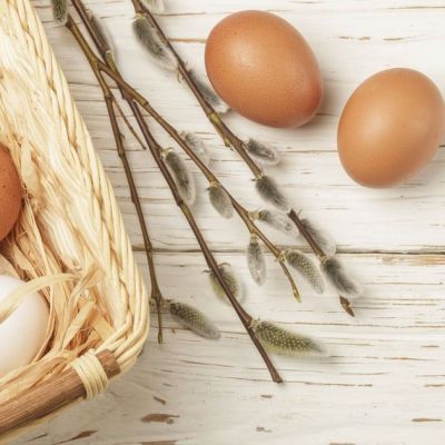 Experts explain the difference between white and brown eggs