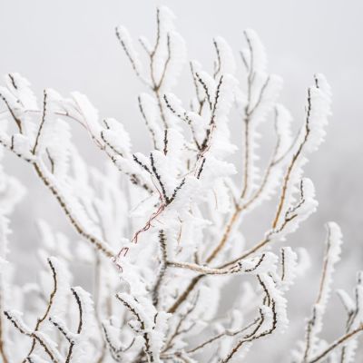 Snow and ice warning issued for Northern Ireland