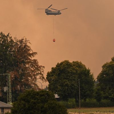 Belgium races to tame wildfire creeping towards Germany