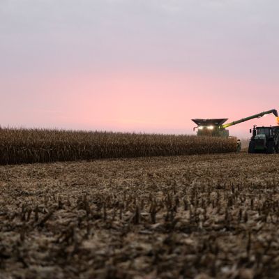 R.F.K. Jr. Has Unlikely Allies in His Drive to Limit Atrazine