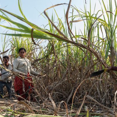 Coke, Pepsi and Other U.S. Companies Face Wall Street Pressure Over Labor Abuses in India