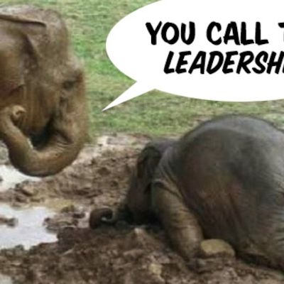 Why Republicans Lost This Election