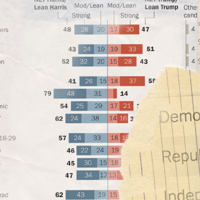 What Polls Can Tell Us, Beyond the Horse Race