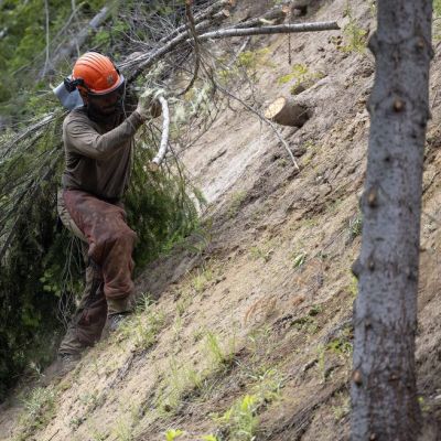 WA must keep commitment to fire prevention on forestland