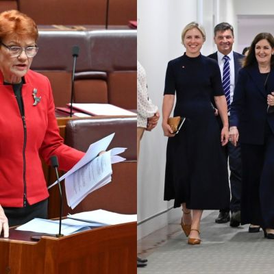 ‘Get over it, it won’t happen’: Hanson doubts Liberals’ net zero retreat