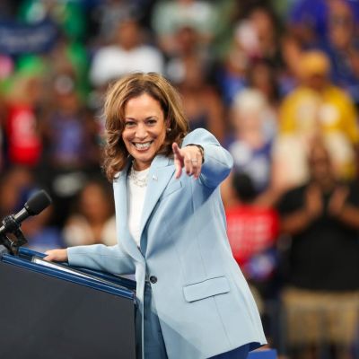 Letters: Democrats knighted Harris; should blame themselves. Childless cat lady: I am sorry.