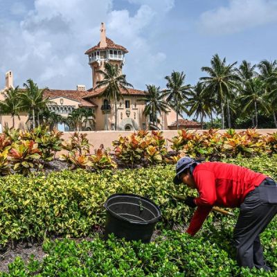 Trump's Business Hired More Foreign Workers Than Ever In 2024