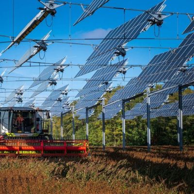 How Solar Energy Can Help Boost Biodiversity And Farming
