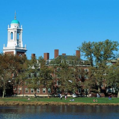 Amid Gaza Protests, Harvard Took A Fundraising Hit, But Its Endowment Still Grew