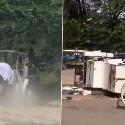 Indian Tourist Romanch Mahajan Dies After Startled Horse Bolts, Overturns Carriage in New York (Watch Video)