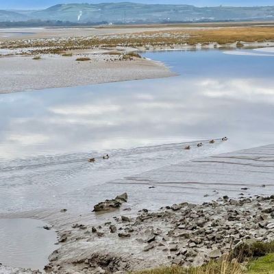 Councillors call for assets owned by the Crown Estate to be devolved to Wales