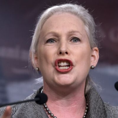New York Senator Kirsten Gillibrand Faces Challenge From Former Boxing Champion