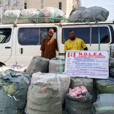 NDLEA Seizes 7.6 Million Tramadol Pills, 76,000kg Of Cannabis In Nationwide Raids – The News Chronicle