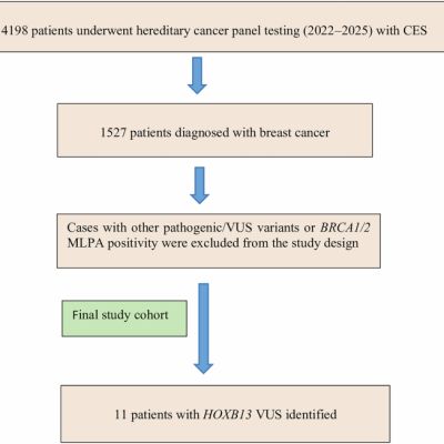 HOXB13, a high-risk prostate cancer gene, also confers risk for breast cancer: novel variants of clinical significance, especially in hormone-positive patients – Journal of Human Genetics