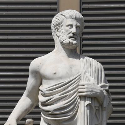 Hair loss cures from around the world and throughout history