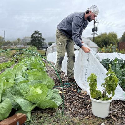 Chattanooga churches, organization coordinate response to impending food aid lapse | Chattanooga Times Free Press