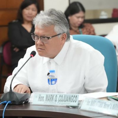 ‘Linilinlang ang tao’: Conjuangco blasts DOE’s false marketing of solar, wind energy