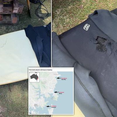 Surfer is injured in FOURTH shark attack to rock Australian state