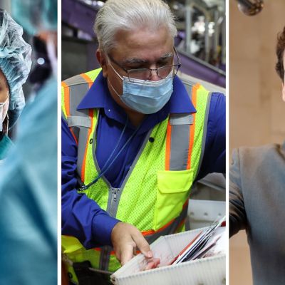 Here’s where the jobs are for November 2024 – in one chart