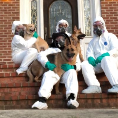 Insurers deemed mold too risky decades ago. That coverage gap still surprises homeowners