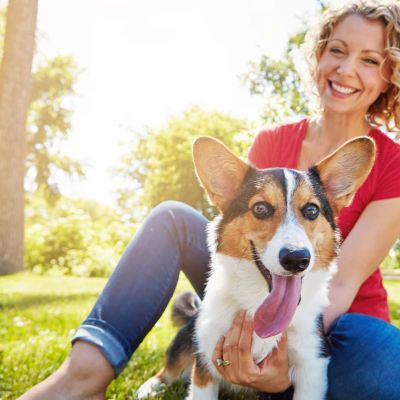 Should You Buy Chewy Stock While It's Below $20?