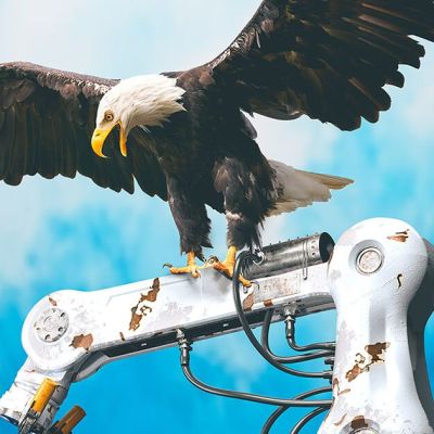 Tariffs Won’t Reindustrialize America. Here’s What Will