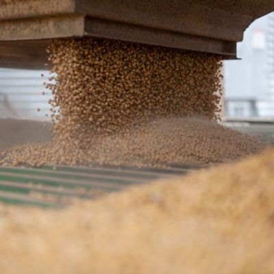 Trump Says China Pledges to Buy ‘Tremendous’ Amounts of Soybeans